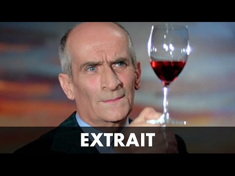 repas gastronomiques : quels sont les meilleurs vins ?