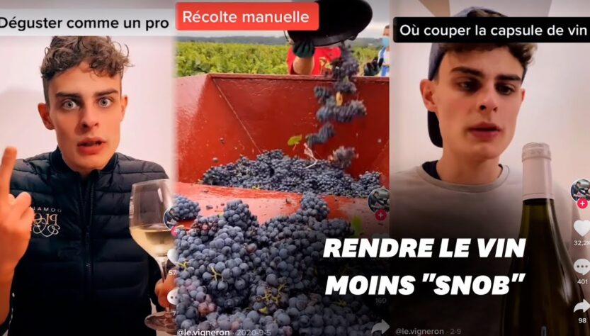 top des meilleurs vins à étudier en oenologie